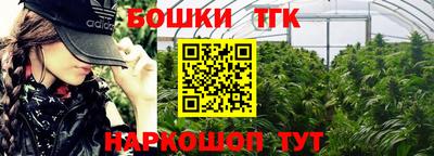 крисы Севастополь