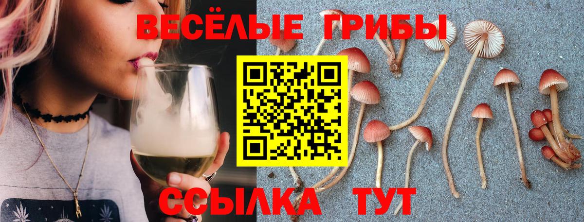 Мурманск  Галлюциногенные грибы MAGIC MUSHROOMS  Вход с VPN  Галлюциногенные грибы прущие грибы 
