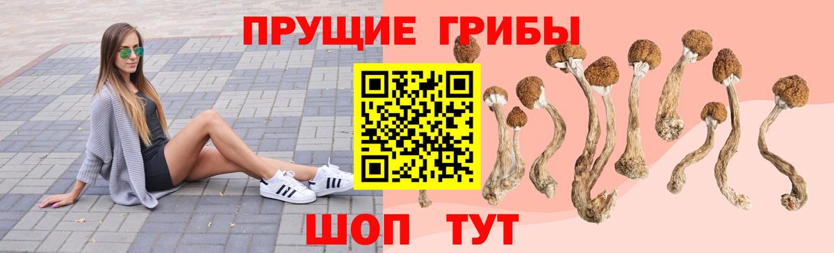 Галлюциногенные грибы GOLDEN TEACHER Мурманск
